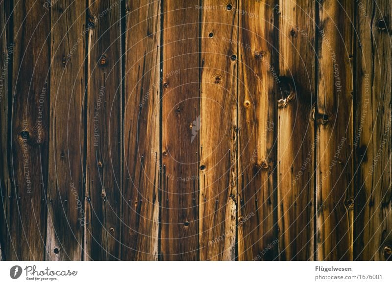 Holzhintergrund [3] Wald Holztransporter Wood-Effekt Holzbrett Holzwand Wand Parkett Bodenbelag Buche Eiche Esche Erlen Fichte Kiefer Tischler Zimmerer holzig