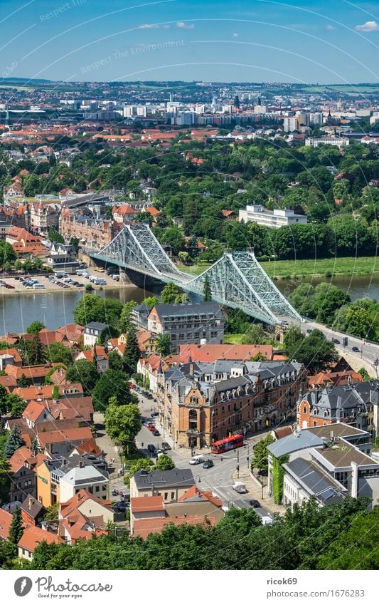 Blick über die Elbe auf Dresden Ferien & Urlaub & Reisen Tourismus Haus Wolken Baum Park Fluss Hauptstadt Brücke Gebäude Architektur Sehenswürdigkeit blau grün