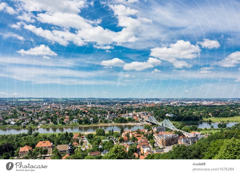 Blick über die Elbe auf Dresden Ferien & Urlaub & Reisen Tourismus Haus Wolken Baum Park Fluss Hauptstadt Brücke Gebäude Architektur Sehenswürdigkeit blau grün