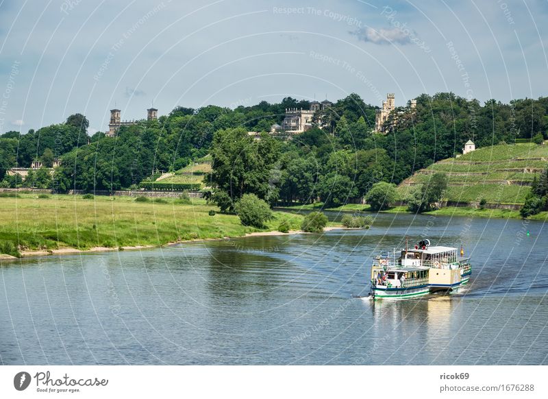 Fahrgastschiff auf der Elbe bei Dresden Ferien & Urlaub & Reisen Tourismus Wasser Wolken Baum Fluss Hauptstadt Architektur Sehenswürdigkeit Dampfschiff blau