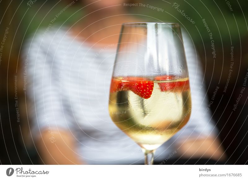 genießen Frucht Erdbeeren Getränk Alkohol Wein Sekt Prosecco Bowle Sektglas Weinglas feminin Junge Frau Jugendliche 1 Mensch Duft sitzen ästhetisch