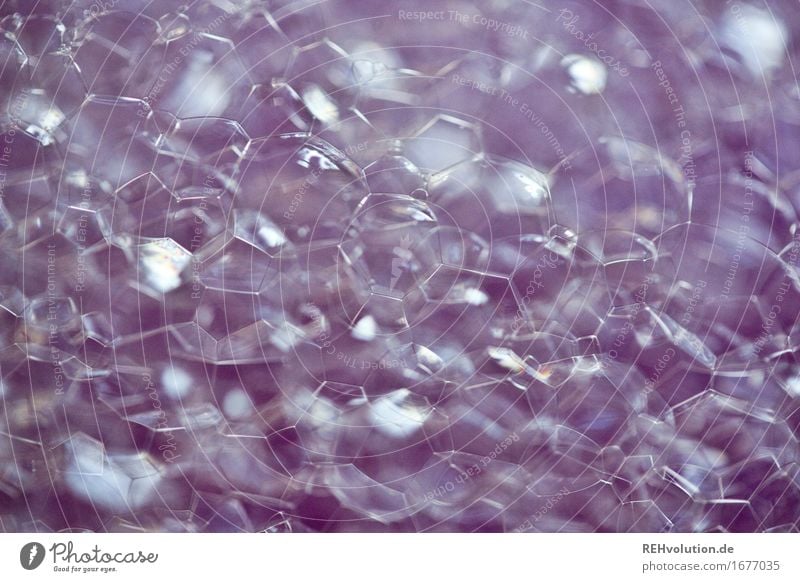 blubberblasen Wasser violett Schaum Geschirrspülen Blase Seife Hintergrundbild Strukturen & Formen Farbfoto Nahaufnahme Makroaufnahme Menschenleer