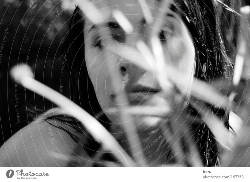 Lavendel Schwarzweißfoto Außenaufnahme Unschärfe Blick in die Kamera exotisch Gesicht harmonisch Sinnesorgane Duft Mensch Junge Frau Jugendliche Erwachsene Kopf