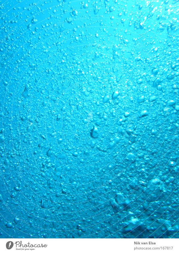 Deep Blue Sea Farbfoto Außenaufnahme Unterwasseraufnahme abstrakt Muster Strukturen & Formen Tag tauchen Natur Urelemente Luft Wasser Meer blau Wasserblase