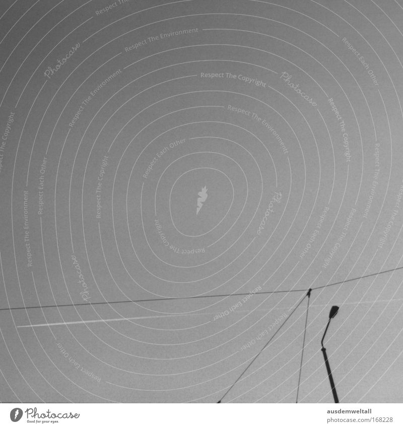 Different Lines Schwarzweißfoto Außenaufnahme abstrakt Menschenleer Textfreiraum oben Hintergrund neutral Tag Silhouette Weitwinkel Luftverkehr Leipzig Laterne