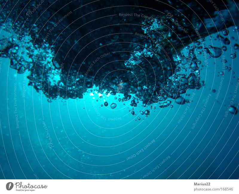 Luftblasen mehrfarbig Unterwasseraufnahme Experiment abstrakt Strukturen & Formen Menschenleer Textfreiraum unten Hintergrund neutral Licht Schatten Silhouette