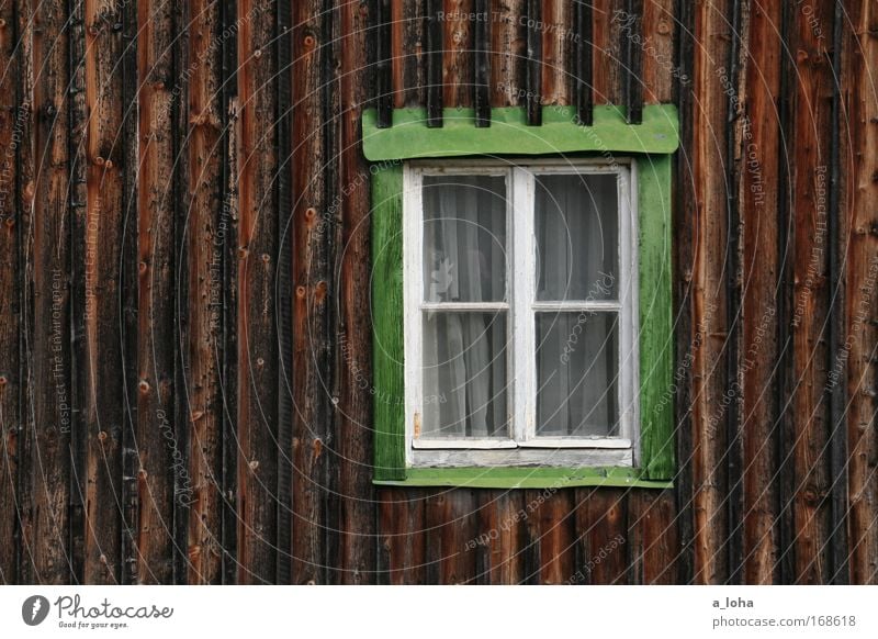 irgendwo im nirgendwo Sommer Handwerker Menschenleer Haus Mauer Wand Fenster Holz Glas Linie Streifen Häusliches Leben alt Originalität braun grün ruhig