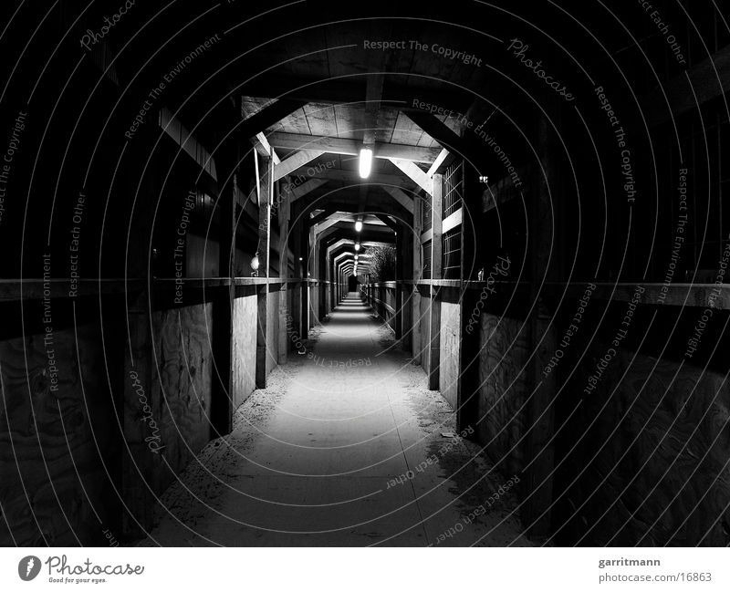 Tunnel Nacht Langzeitbelichtung Architektur Licht