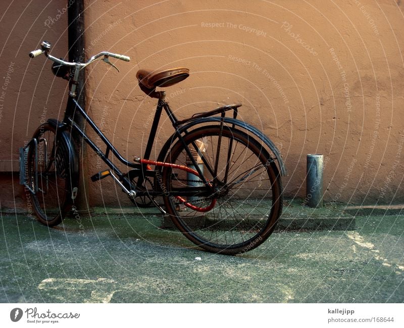holländer Tag Lifestyle elegant Stil Design Freizeit & Hobby Fahrrad Haus Mauer Wand fahren authentisch Coolness nachhaltig braun Sattel Fahrradrahmen Lenker