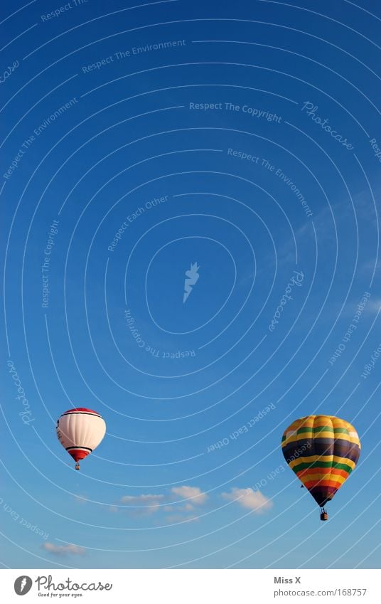 ein schöner Tag Farbfoto Außenaufnahme Freizeit & Hobby Ausflug Abenteuer Sommer Schönes Wetter Luftverkehr Ballone fahren fliegen Freiheit Blauer Himmel