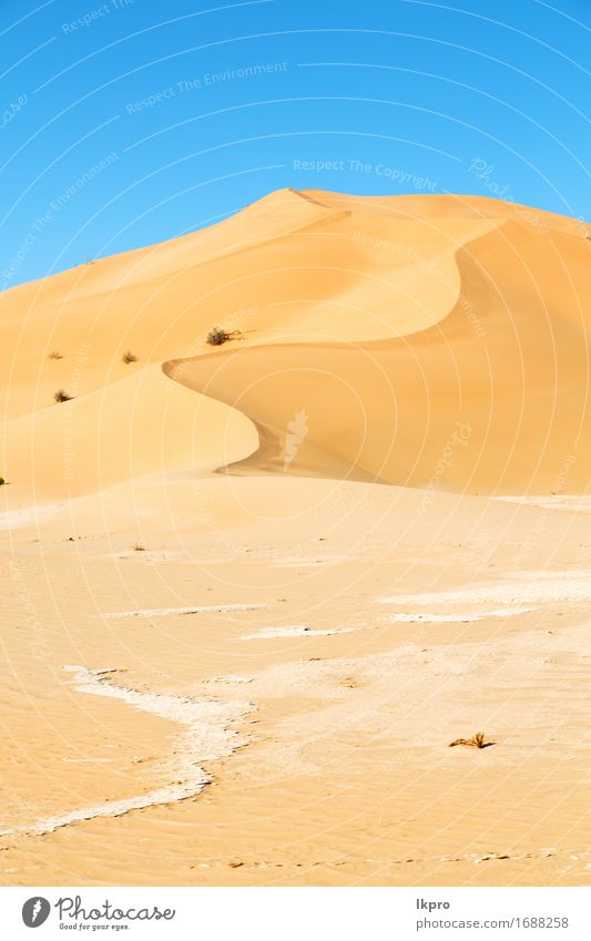 Oman alte Wüste reiben Al Khali schön Ferien & Urlaub & Reisen Tourismus Abenteuer Safari Sommer Sonne Natur Landschaft Sand Himmel Horizont Park Hügel Felsen
