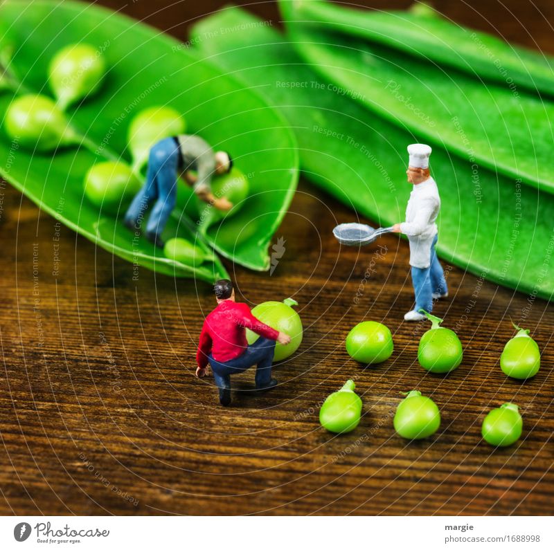 Miniwelten - Erbsenernte Lebensmittel Gemüse Ernährung Mittagessen Bioprodukte Vegetarische Ernährung Pfanne Arbeit & Erwerbstätigkeit Beruf Koch Arbeitsplatz