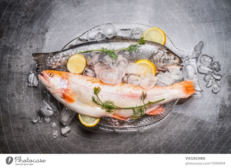 Ganze Forellen auf der Glasplatte mit Eiswürfel Lebensmittel Fisch Kräuter & Gewürze Ernährung Mittagessen Abendessen Festessen Bioprodukte