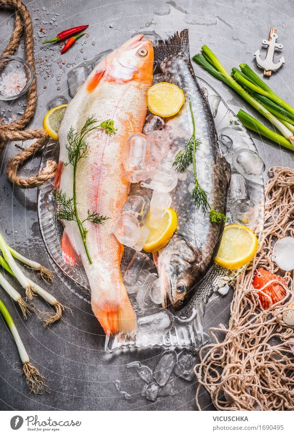 Rohe ganze Forellen mit frischen Zutaten Lebensmittel Fisch Gemüse Ernährung Mittagessen Abendessen Festessen Geschäftsessen Bioprodukte Vegetarische Ernährung