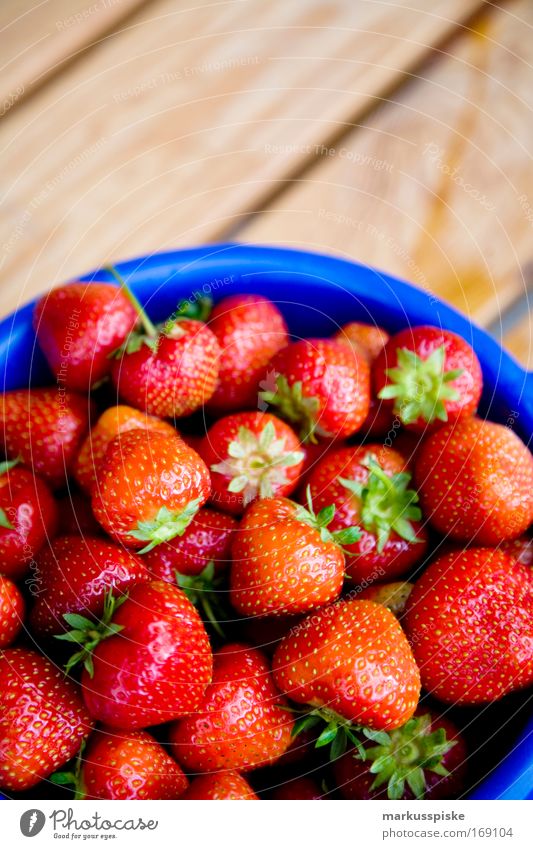 frisch gepflückte erdbeeren Farbfoto Außenaufnahme Textfreiraum oben Tag Starke Tiefenschärfe Vogelperspektive Lebensmittel Frucht Erdbeeren Ernte pflücken
