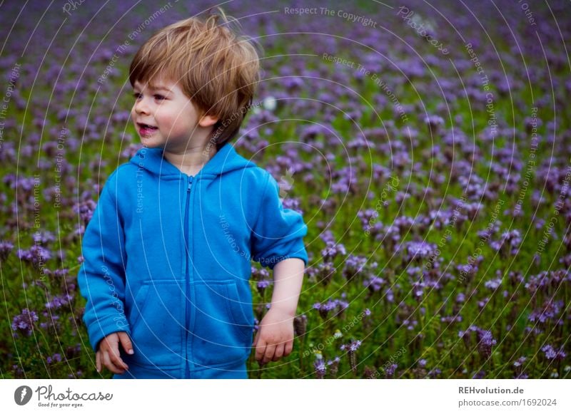 ärmel hoch Mensch maskulin Kind Kleinkind Junge 1 1-3 Jahre Umwelt Natur Blume Wiese Feld Pullover beobachten stehen warten Freundlichkeit Fröhlichkeit klein