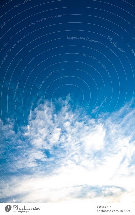 Wolken Cirrus Himmel blau Blauer Himmel himmelblau Meteorologie Wetterdienst Weltall Textfreiraum