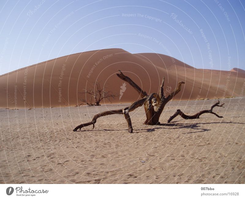 Düne Afrika Namibia heiß trocken Sand Wüste
