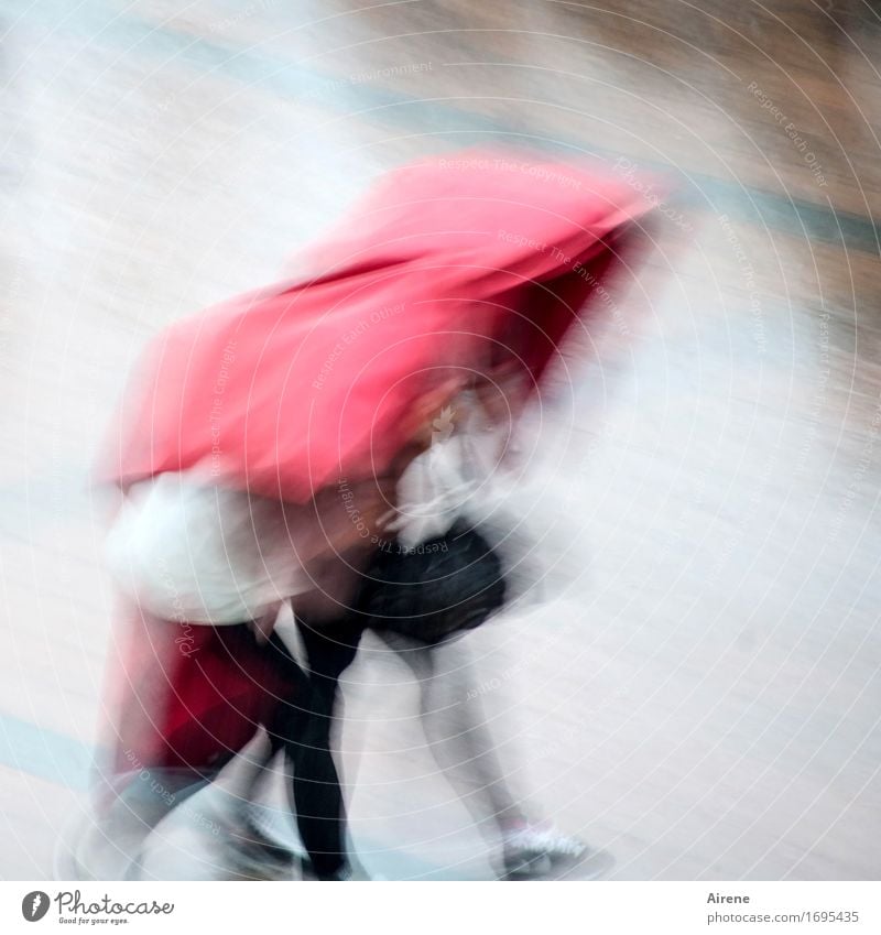 es gibt kein Entkommen Mensch Erwachsene Beine 2 schlechtes Wetter Unwetter Regen Gewitter Straße Wetterschutz Decke Planet laufen rennen springen elegant kalt