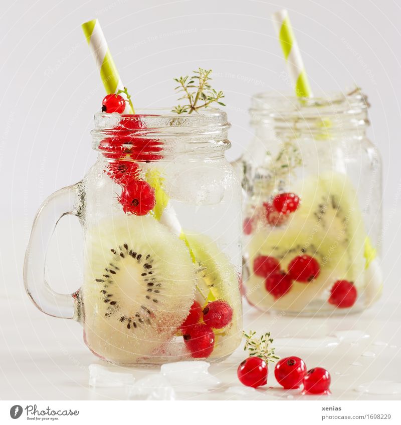 zwei Gläser Erfrischungsgetränk mit Kiwi und Johannisbeere vor hellem Hintergrund Frucht Johannisbeeren Thymian Lebensmittel Eiswürfel Vitamin Diät Getränk