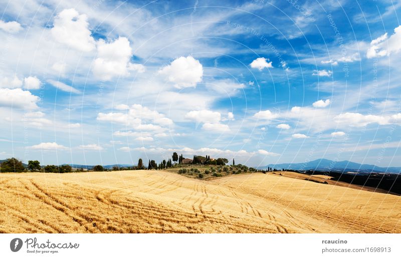Toskanische Landschaft an einem sonnigen Tag des Sommers Erholung Ferien & Urlaub & Reisen Tourismus Haus Natur Himmel Wolken Baum Hügel Dorf Gebäude blau gelb