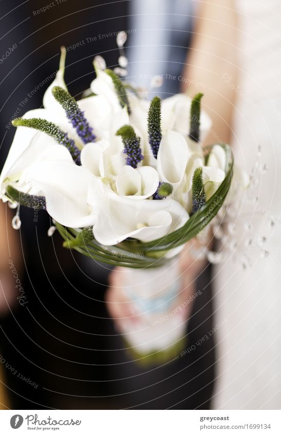 Braut hält Hochzeit Bouquet von weißen Blumen. Romantische Details Reichtum elegant Glück schön Dekoration & Verzierung Feste & Feiern Frau Erwachsene Hand