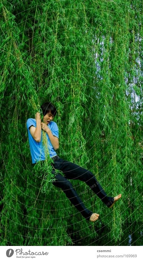 Tarzan auf koreanisch Spielen Freiheit Junger Mann Jugendliche Baum Weide Garten Wald Urwald Seeufer Teich fliegen hängen schaukeln schreien springen frei