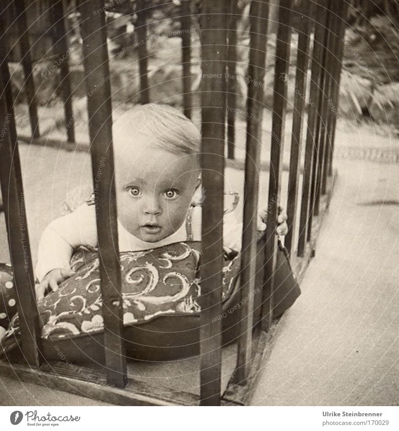 Kleinkind schaut mit großen Augen durch die Gitterstäbe des Laufstalls Schwarzweißfoto Außenaufnahme Tag Porträt Vorderansicht Blick in die Kamera Freiheit