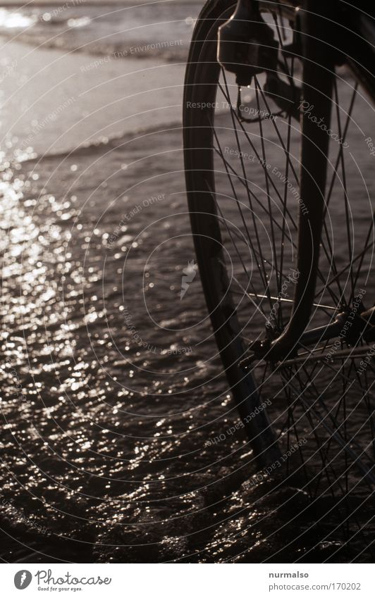 Lagerkiller oder, ein Rad im Meer Farbfoto Dämmerung Sinnesorgane Erholung Freizeit & Hobby Fahrradtour Strand Natur Wasser Sonnenaufgang Sonnenuntergang Sommer