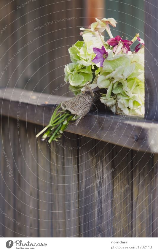 Brautstrauß Pflanze Blume Blatt Blüte Grünpflanze berühren Blumenstrauß Hochzeit Floristik Holz Bastelmaterial Datierung Liebe Nestwärme aromatisch Kompliment