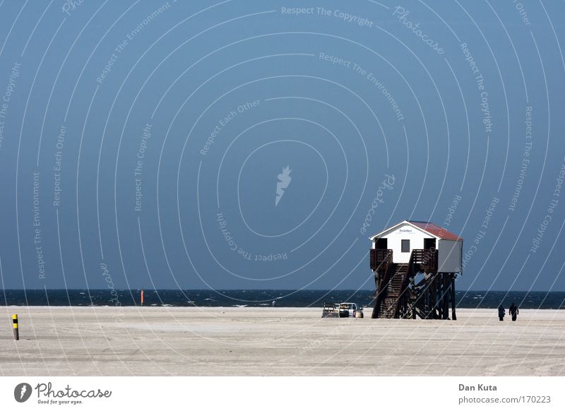 Hoch hinaus Freude Glück Ferne Freiheit Sommer Sommerurlaub Sonne Sonnenbad Strand Meer Landschaft Urelemente Sand Wasser Himmel Wolkenloser Himmel