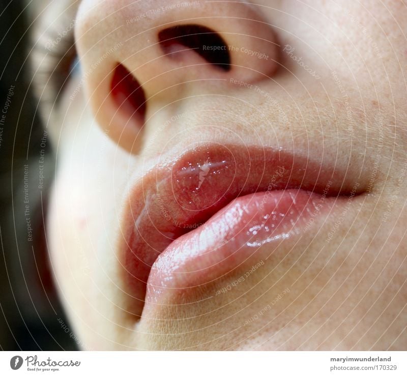 read my lips, they say kiss kiss kiss. schön Haut Gesicht Kosmetik Sinnesorgane feminin Junge Frau Jugendliche Nase Mund Lippen 1 Mensch Denken genießen Küssen