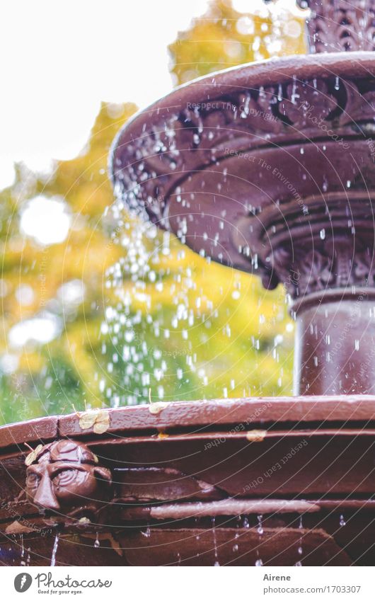 Tropfenfänger Kunst Skulptur Wassertropfen Herbst Schönes Wetter Park Brunnen Springbrunnen ästhetisch frisch kalt nass braun gold grün violett Ewigkeit Frieden