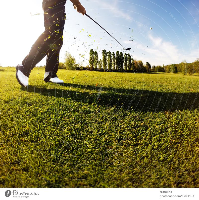 Golfspieler führt einen Golfschuß vom Fahrrinne durch Erholung Freizeit & Hobby Spielen Ferien & Urlaub & Reisen Tourismus Sommer Club Disco Sport Mensch Mann