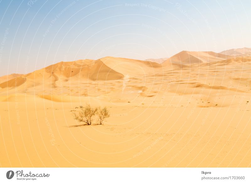 d Düne in Oman alte Wüste Rub al khali schön Ferien & Urlaub & Reisen Tourismus Abenteuer Safari Sommer Sonne Natur Landschaft Sand Himmel Horizont Park Hügel