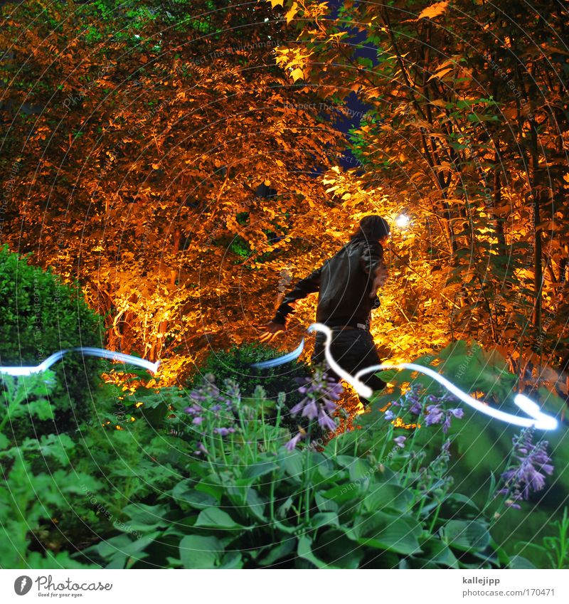 im märchenwald Farbfoto mehrfarbig Außenaufnahme Experiment Nacht Lichterscheinung Zentralperspektive Blick nach hinten Mensch maskulin Mann Erwachsene 1 Umwelt