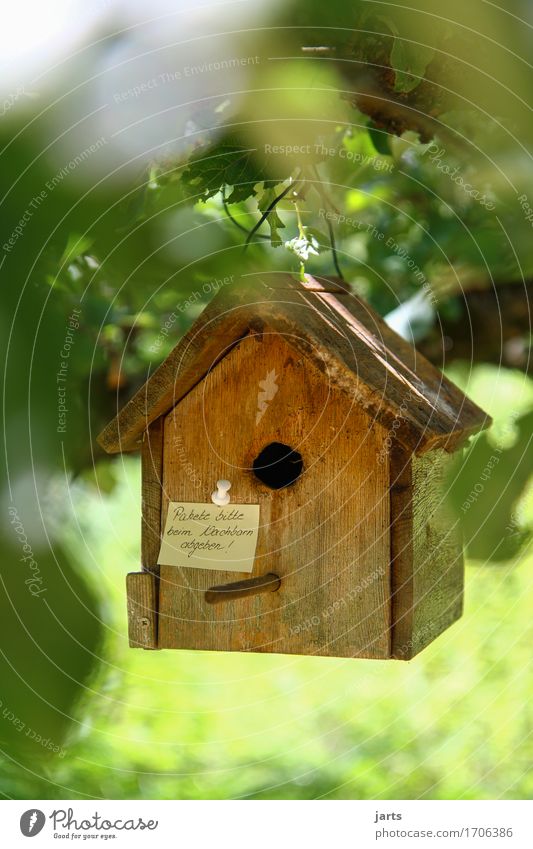 pakete bitte beim nachbarn abgeben II Baum Blatt Wald Haus Hütte hängen Häusliches Leben Post Paket Futterhäuschen Information Farbfoto Außenaufnahme