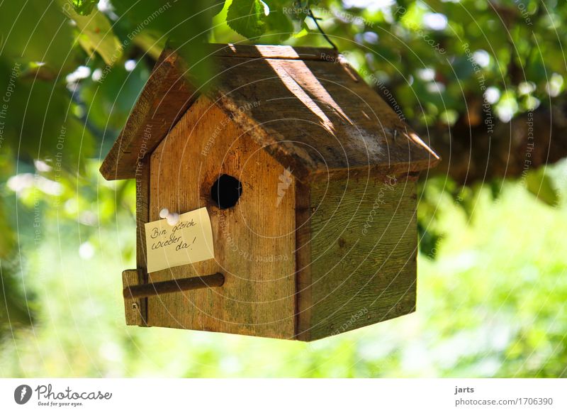 bin gleich wieder da ! Schönes Wetter Pflanze Baum Blatt Garten Park Wald Haus Hütte Papier Zettel Häusliches Leben Vogelhäuschen Futterhäuschen Information