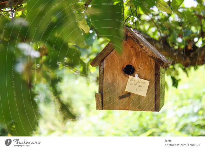 ...gleich... Schönes Wetter Baum Blatt Garten Haus Hütte Häusliches Leben Zettel Information Futterhäuschen gehen mehrfarbig Außenaufnahme Textfreiraum links