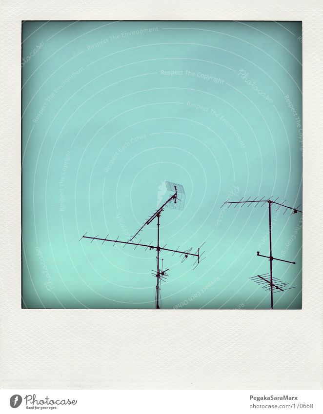 antenna Gedeckte Farben Detailaufnahme Polaroid Menschenleer Tag Technik & Technologie Unterhaltungselektronik Telekommunikation Umwelt Himmel Antenne Metall