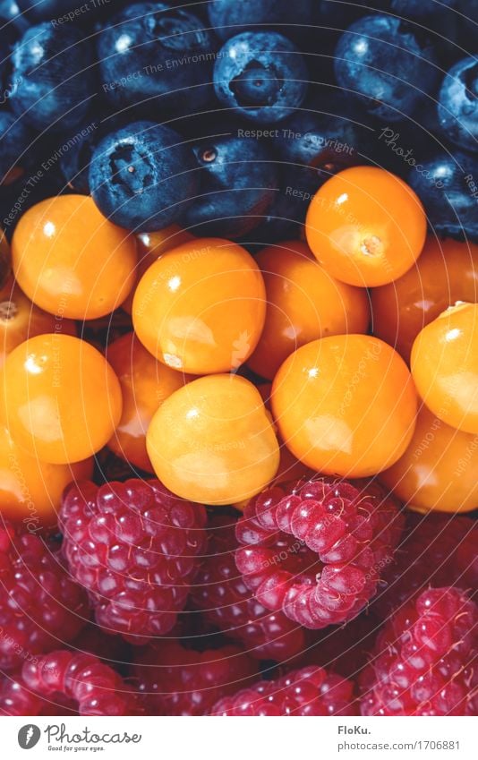 Berren-Tricolore Lebensmittel Frucht Ernährung Essen Bioprodukte Vegetarische Ernährung Diät frisch Gesundheit lecker natürlich rund süß blau gelb orange rot