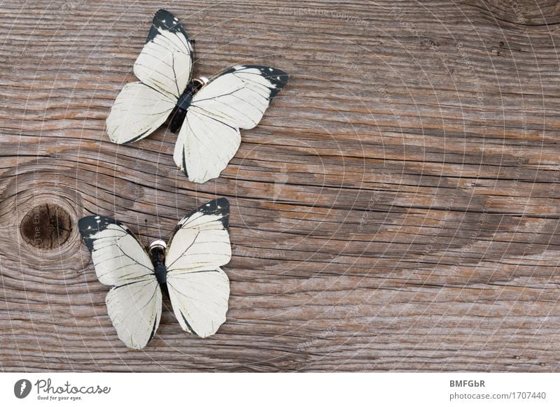 Schmetterlingsdeko Dekoration & Verzierung Kitsch Krimskrams Schmetterlinge im Bauch Holz Schilder & Markierungen Hinweisschild Warnschild einfach braun weiß