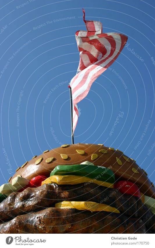 USA Menschenleer blau Fahne Fahnenmast Amerika Nationalflagge Amerikaner Hamburger Salat Werbung Streifen Stars and Stripes Himmel himmelblau Froschperspektive