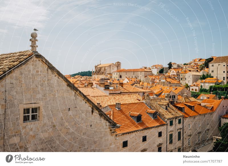Dubrovnik Vll Ferien & Urlaub & Reisen Tourismus Sightseeing Städtereise Himmel Sommer Pflanze Kroatien Stadt Hafenstadt Stadtzentrum Altstadt Haus Kirche