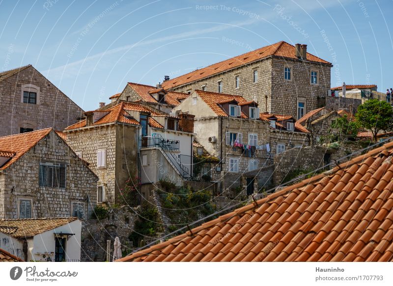 Dubrovnik lll Ferien & Urlaub & Reisen Tourismus Sommerurlaub Häusliches Leben Wohnung Haus Schönes Wetter Pflanze Baum Blume Kroatien Stadt Hafenstadt