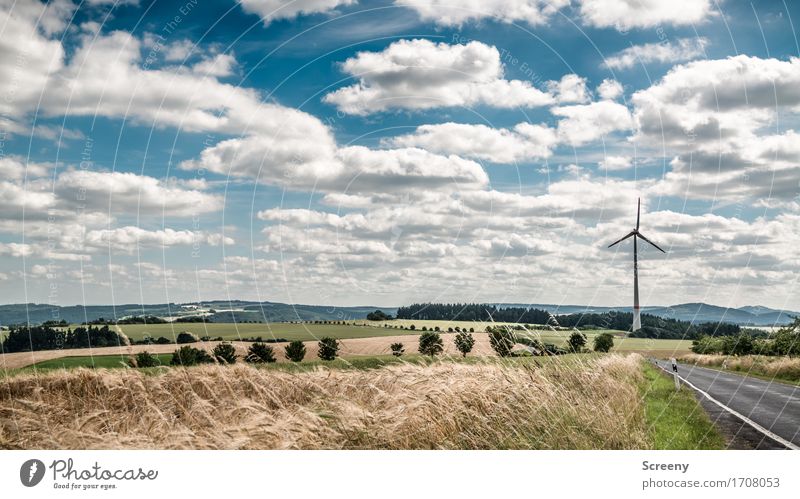 Fluffig und energiereich... Energiewirtschaft Erneuerbare Energie Windkraftanlage Natur Landschaft Pflanze Himmel Wolken Sommer Schönes Wetter Gras Sträucher