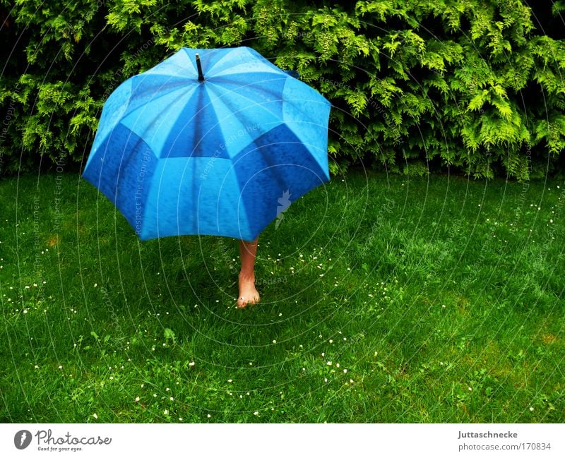 Sauwetter Regenschirm Schirm nass schlechtes Wetter schützen Schutz Geborgenheit Garten Wiese Rasen Gras aufspannen aufgespannt Regenschutz einbeinig Gewitter