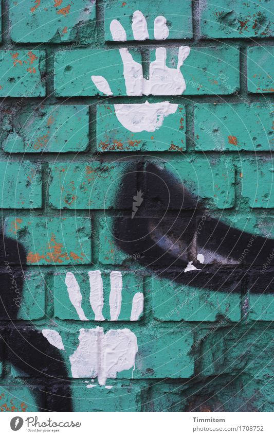 Klangfarbe | No Fun. Berlin Haus Mauer Wand Stein Graffiti authentisch einfach grün schwarz weiß Gefühle Handabdruck Farbe Farbfoto Außenaufnahme Menschenleer