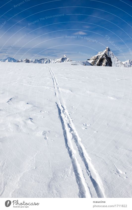 Skibahn auf frischem Schnee Matterhorn-Gletscher die Schweiz schön Ferien & Urlaub & Reisen Tourismus Abenteuer Expedition Winter Berge u. Gebirge Sport
