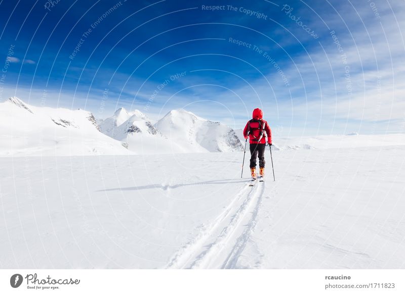 Bergsteiger, der auf einen Gletscher mit Skis Monte Rosa Italy geht Ferien & Urlaub & Reisen Ausflug Abenteuer Expedition Winter Schnee Berge u. Gebirge Sport